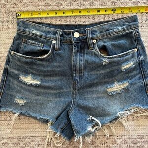 Blank NYC Blue Distressed Jean Shorts